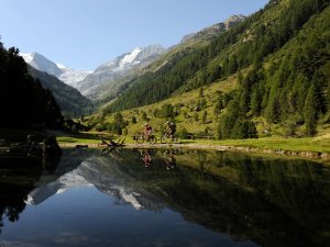 La vallée de Tourtemagne où la forêt atteint la plus haute altitude d'Europe.